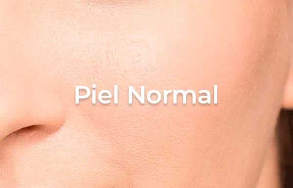 piel normal skinic